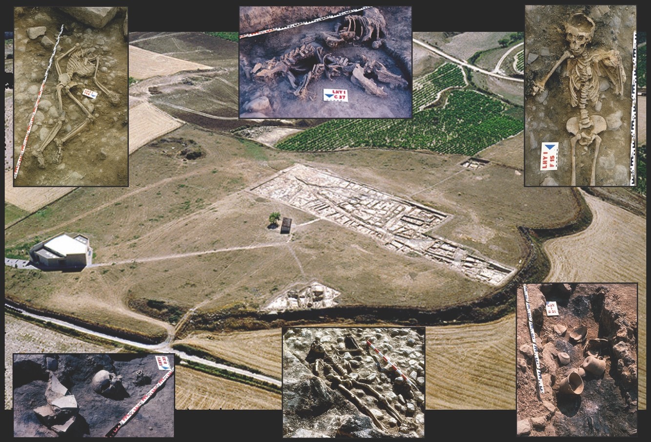 Vue aérienne du village de l’Age du Fer de La Hoya