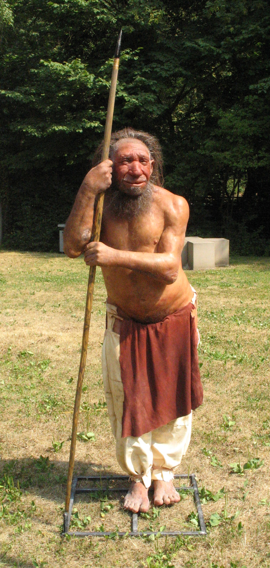 reconstitution d'artiste d'un homme de Neandertal.
