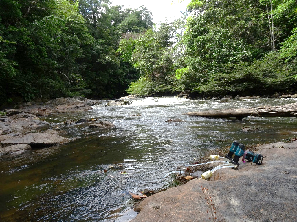 Système de collecte d’ADN environnemental par filtration d’eau au niveau du Saut Parasol, sur la rivière Sinnamary, en zone cœur du Parc Amazonien de Guyane. Il s’agit d’un site exempt de perturbation humaine sur lequel de nombreux mammifères emblématiques ont été détectés.