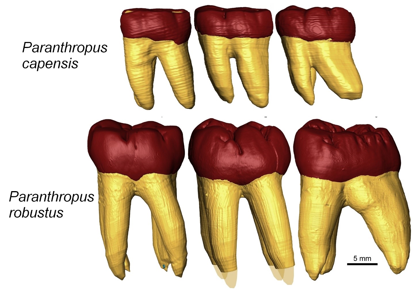 figure2