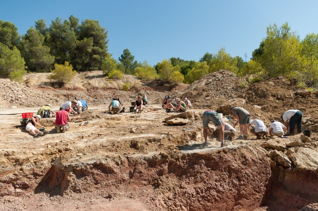 L’équipe de paléontologues en action sur le gisement de Velaux–La Bastide Neuve 